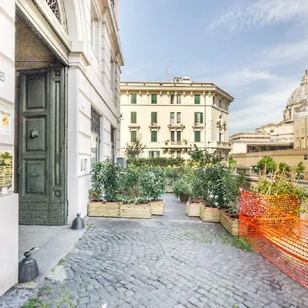 Vatican View